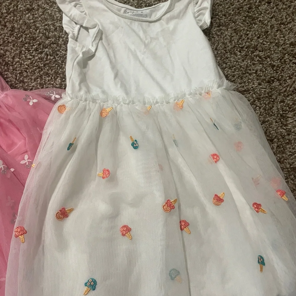 Pink & White Tulle Dress Set with Embroidered Motifs